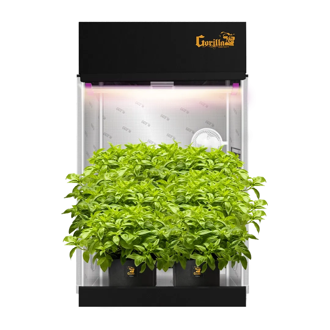 2x4 Grow Tent Kit Pro - Soil