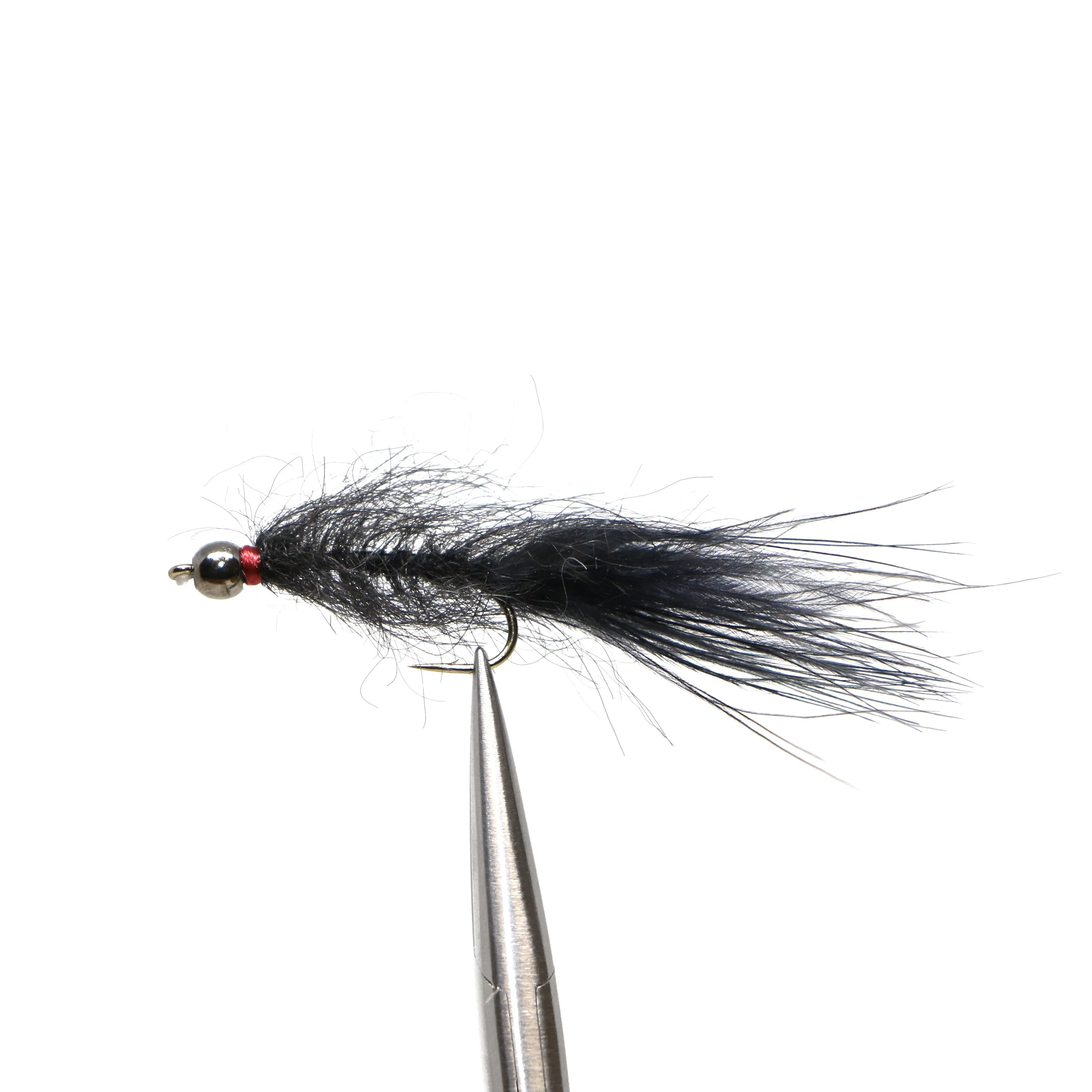 BH Hale Bopp Leech