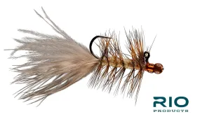 Blonde Balanced Leech - RIO
