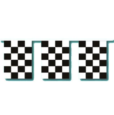 Checkered Race Track Starter Pennants Streamers String