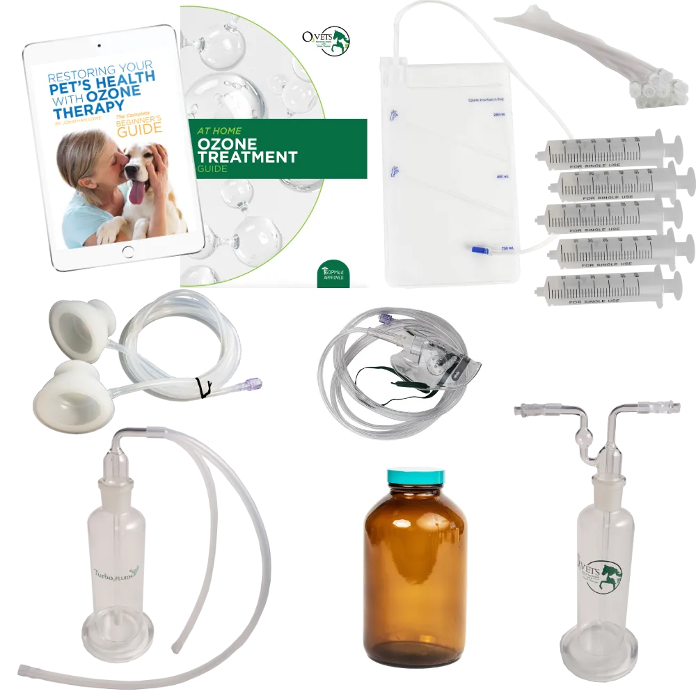 Gold Accessory Package
