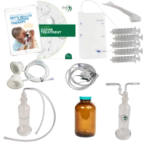 Gold Accessory Package