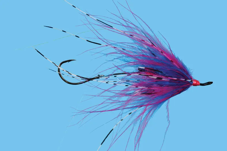 Hoh Bo Spey - Cherise/Blue