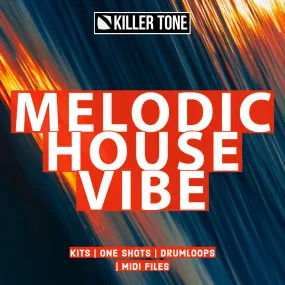 Melodic House Vibe