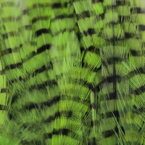 MFC Barred Saddle Hackle,