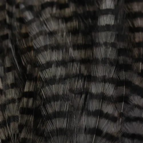 MFC Barred Saddle Hackle,