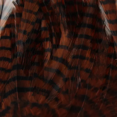 MFC Barred Saddle Hackle,