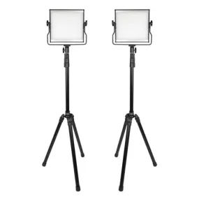 Promaster 4611 Basis B88B 2-Light Bi-Color LED Kit