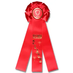 Rosette 3 Streamer Ribbon