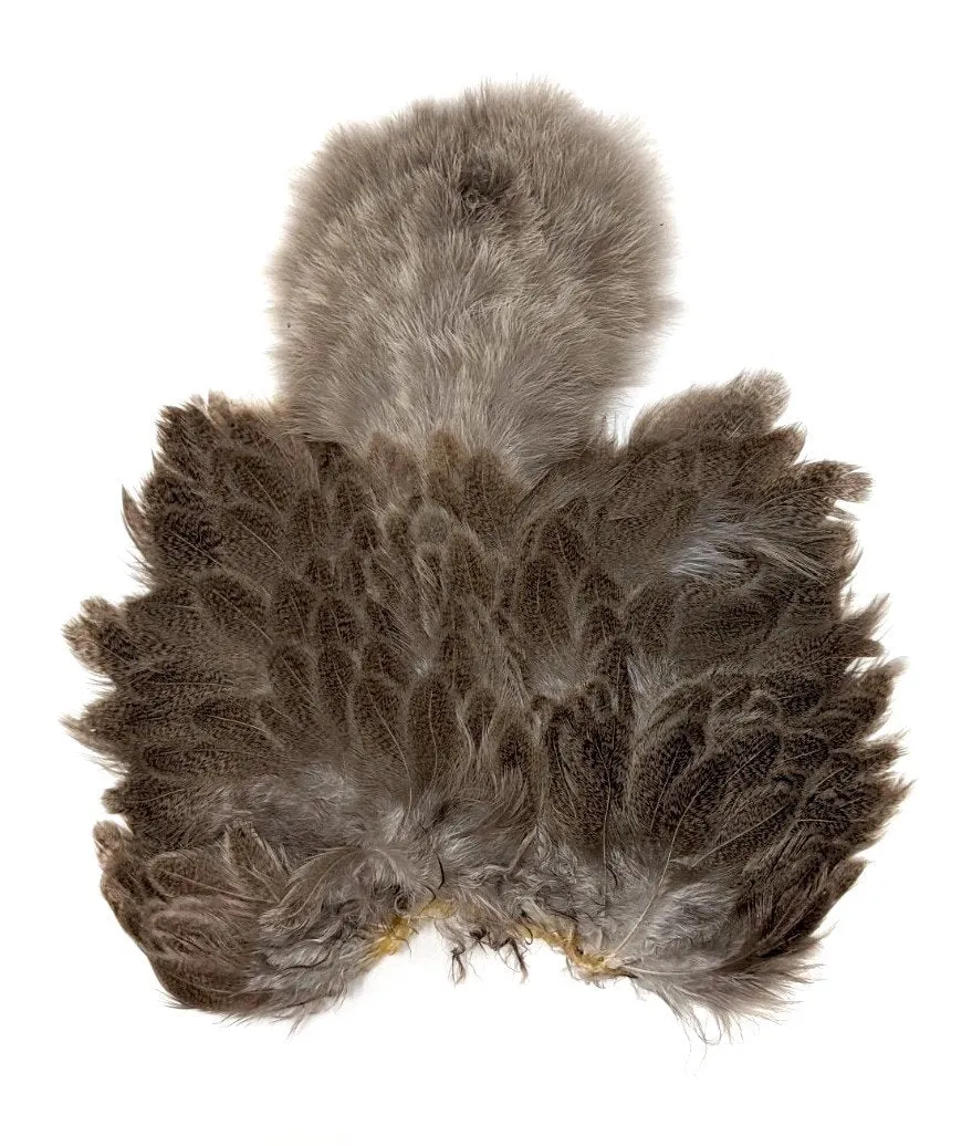 Whiting Brahma Soft Hackle with Chickabou