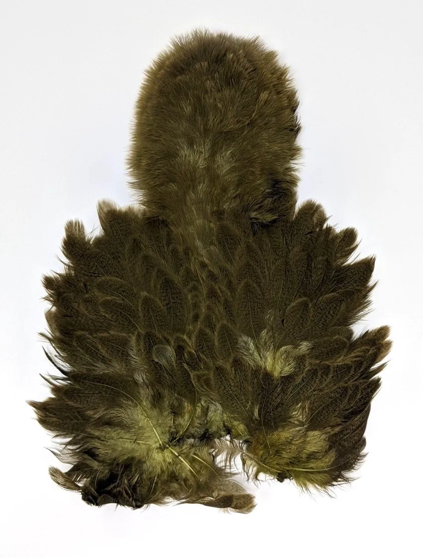 Whiting Brahma Soft Hackle with Chickabou