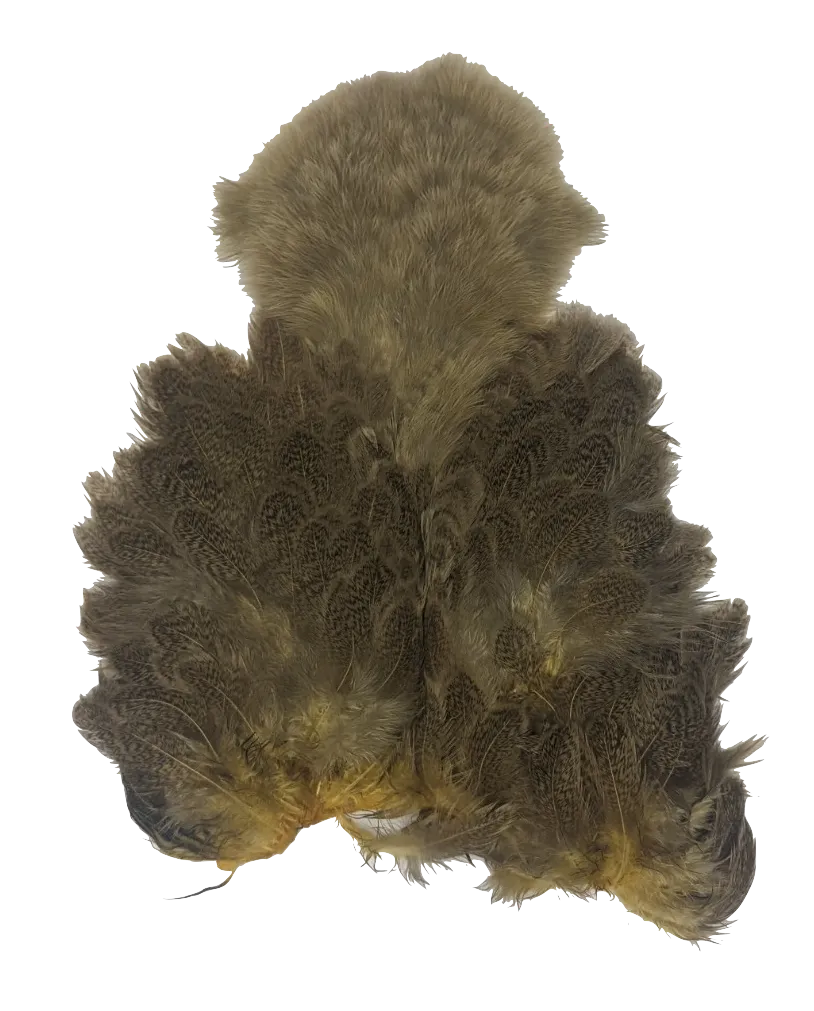 Whiting Brahma Soft Hackle with Chickabou