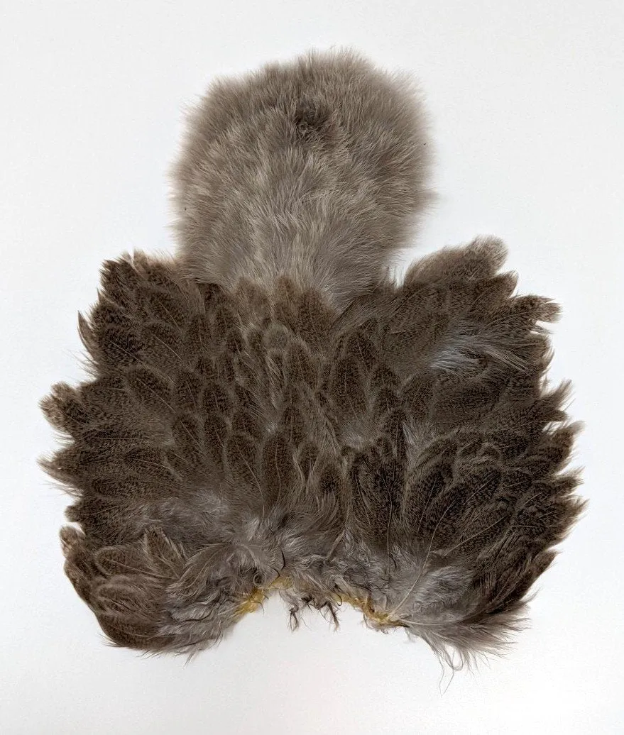 Whiting Brahma Soft Hackle with Chickabou