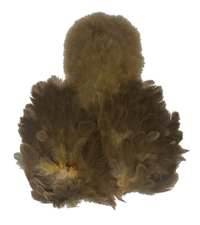 Whiting Brahma Soft Hackle with Chickabou