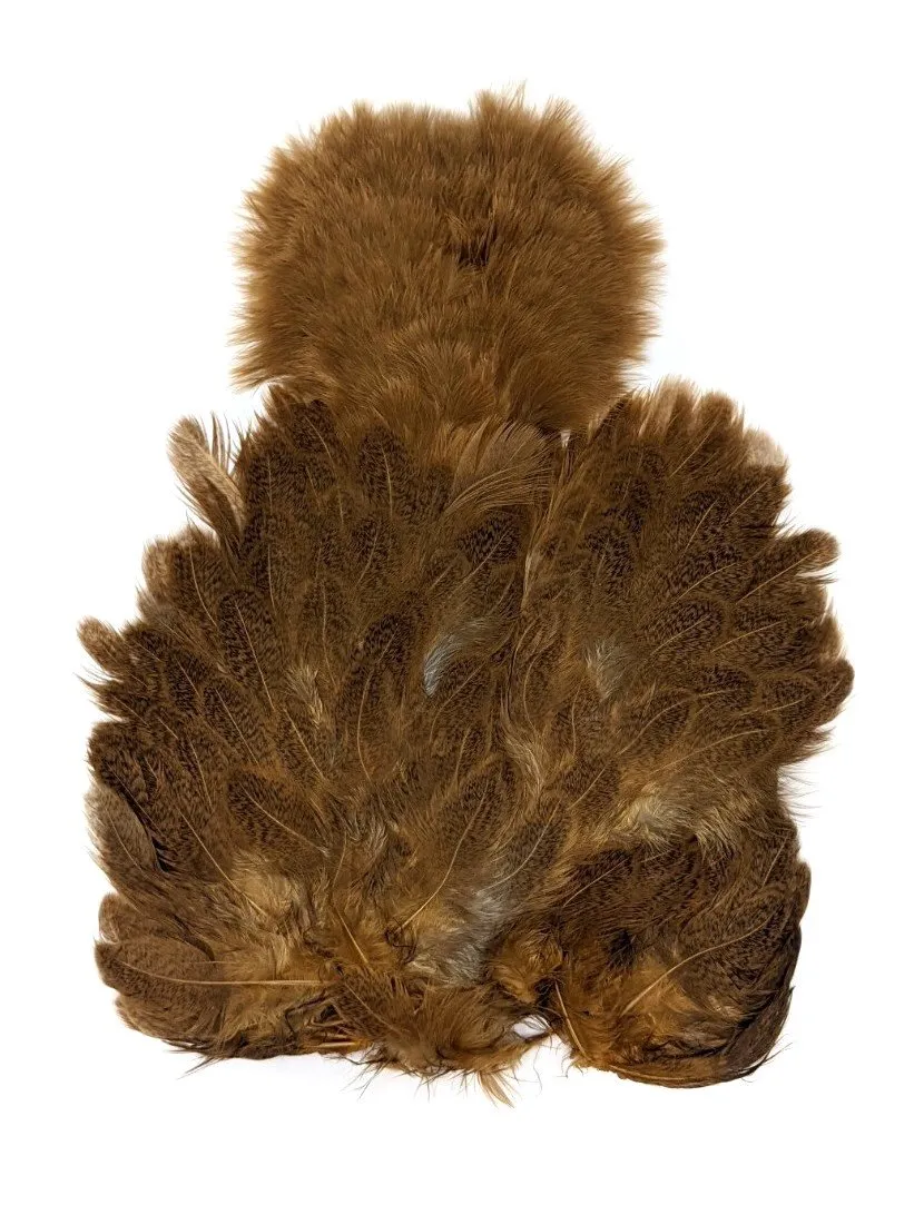 Whiting Brahma Soft Hackle with Chickabou