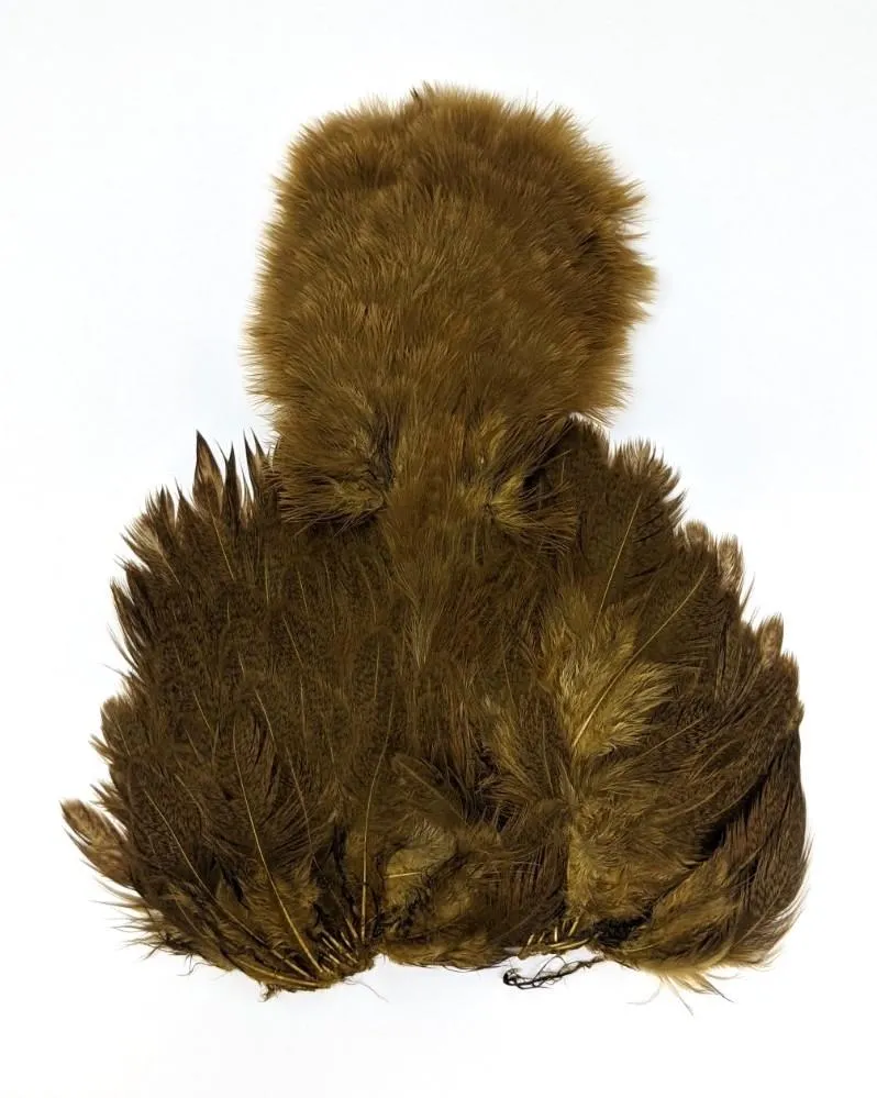 Whiting Brahma Soft Hackle with Chickabou