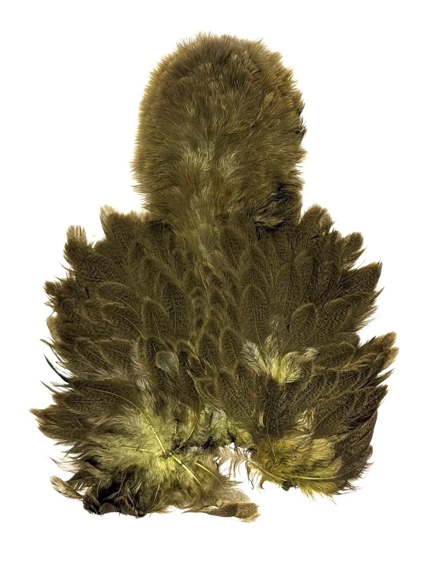 Whiting Brahma Soft Hackle with Chickabou